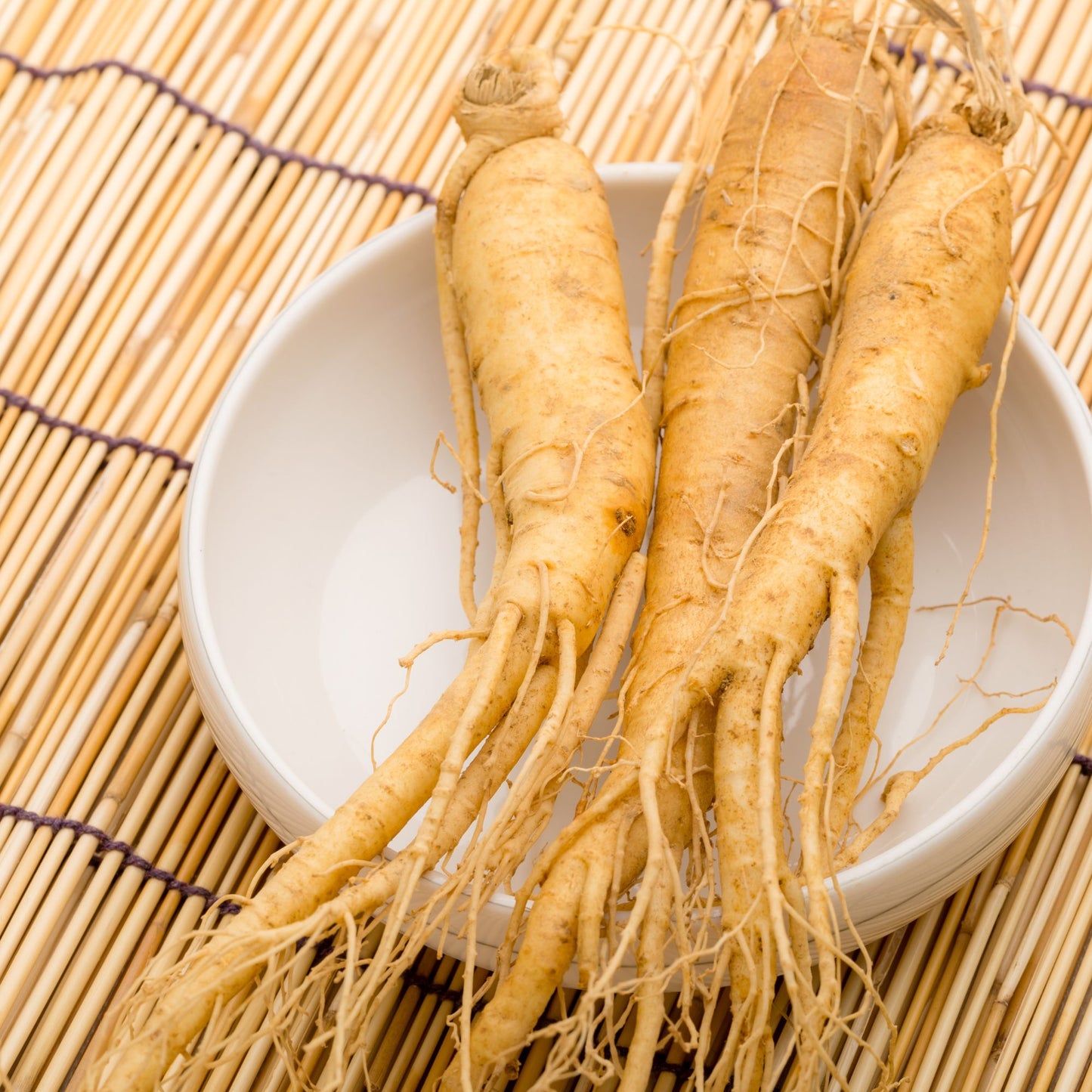 Ashwaganda root cuts - Withania somnifera