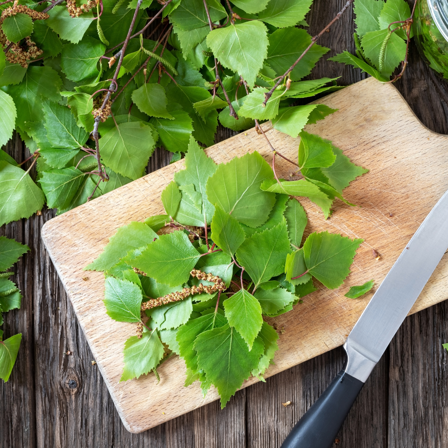 Birch leaves cuts