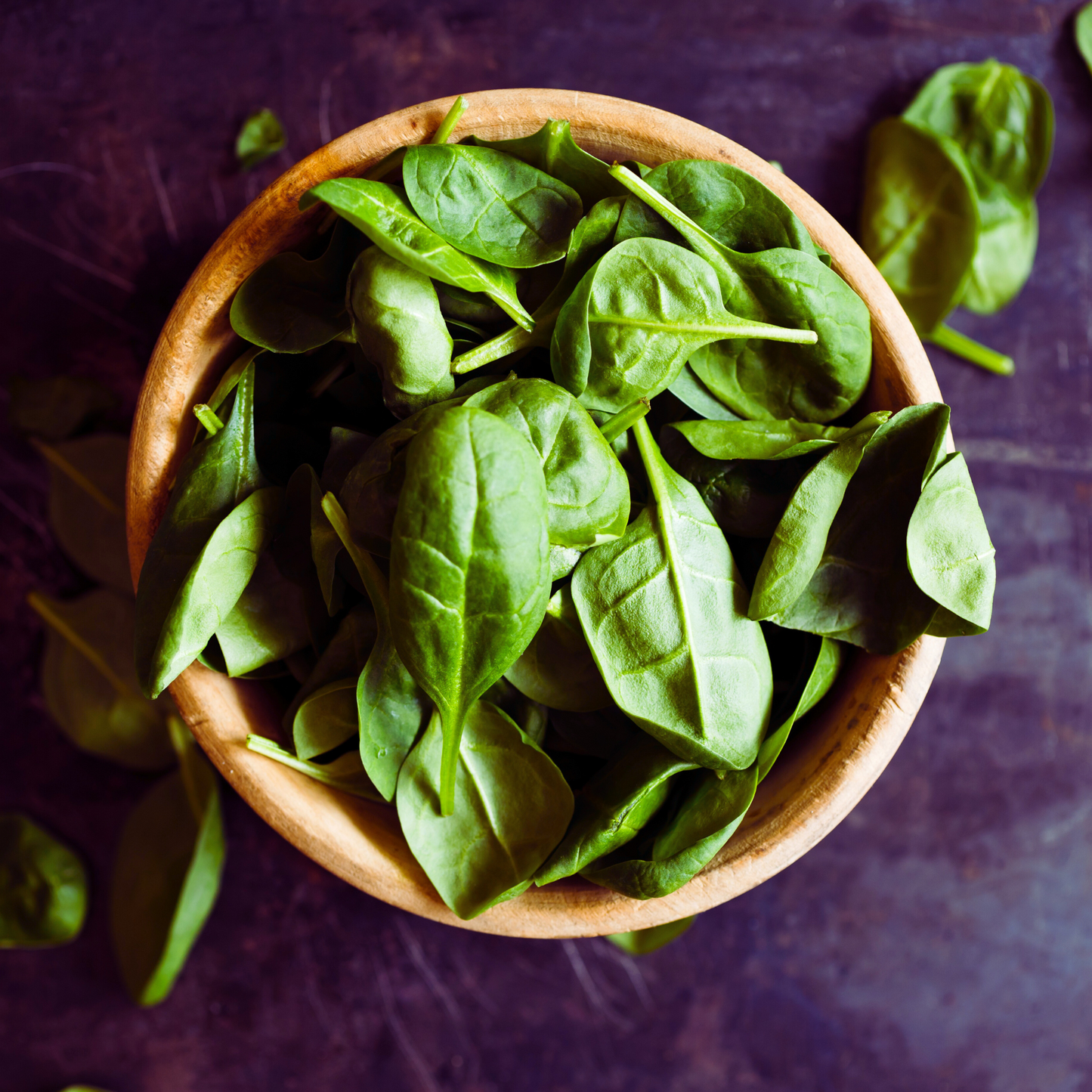 Basil leaves cut - Ocimum basilicum