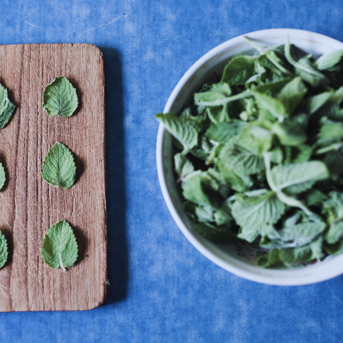 Spearmint leaves cut - Mintha Spicata