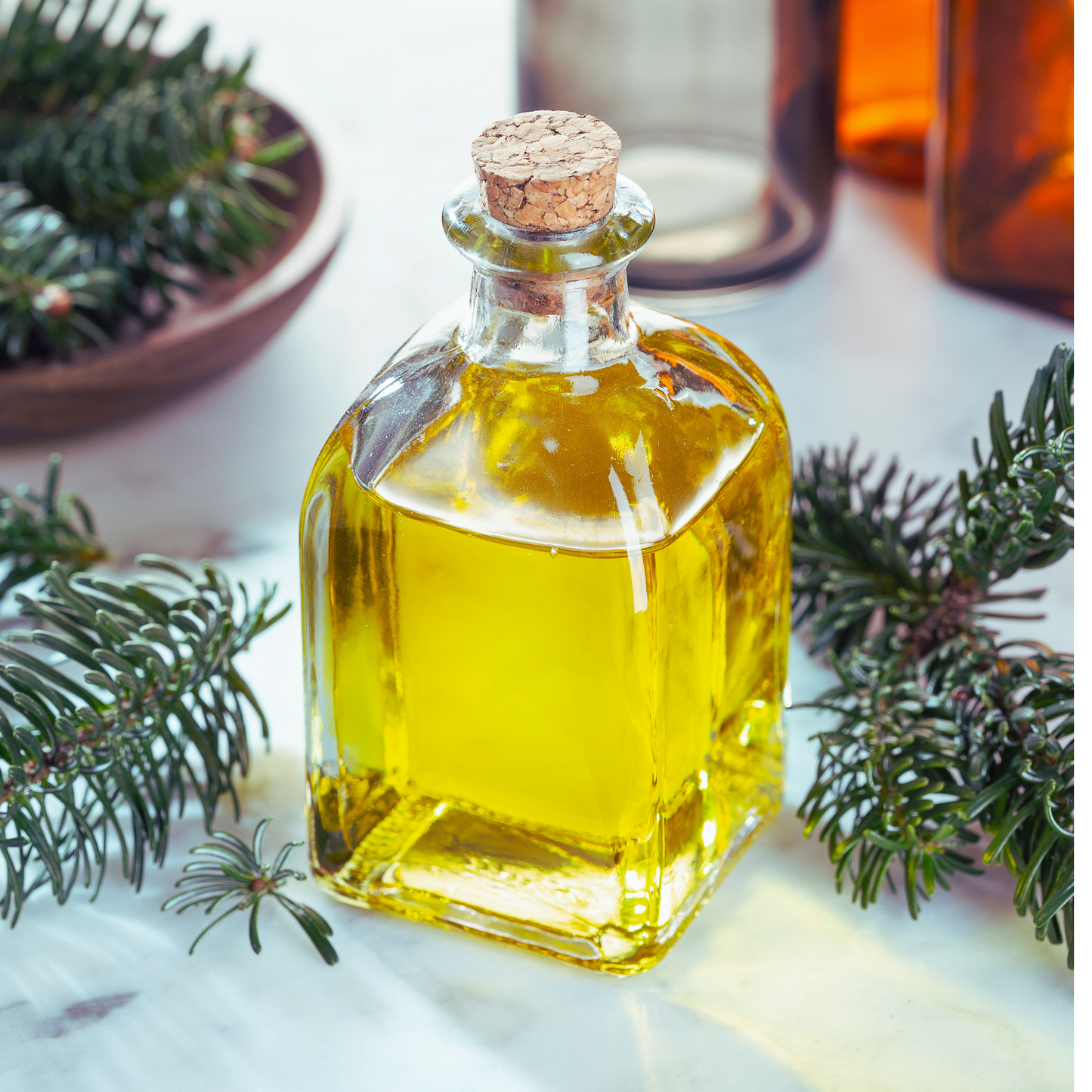 Balsam fir essential oil - abies balsamea