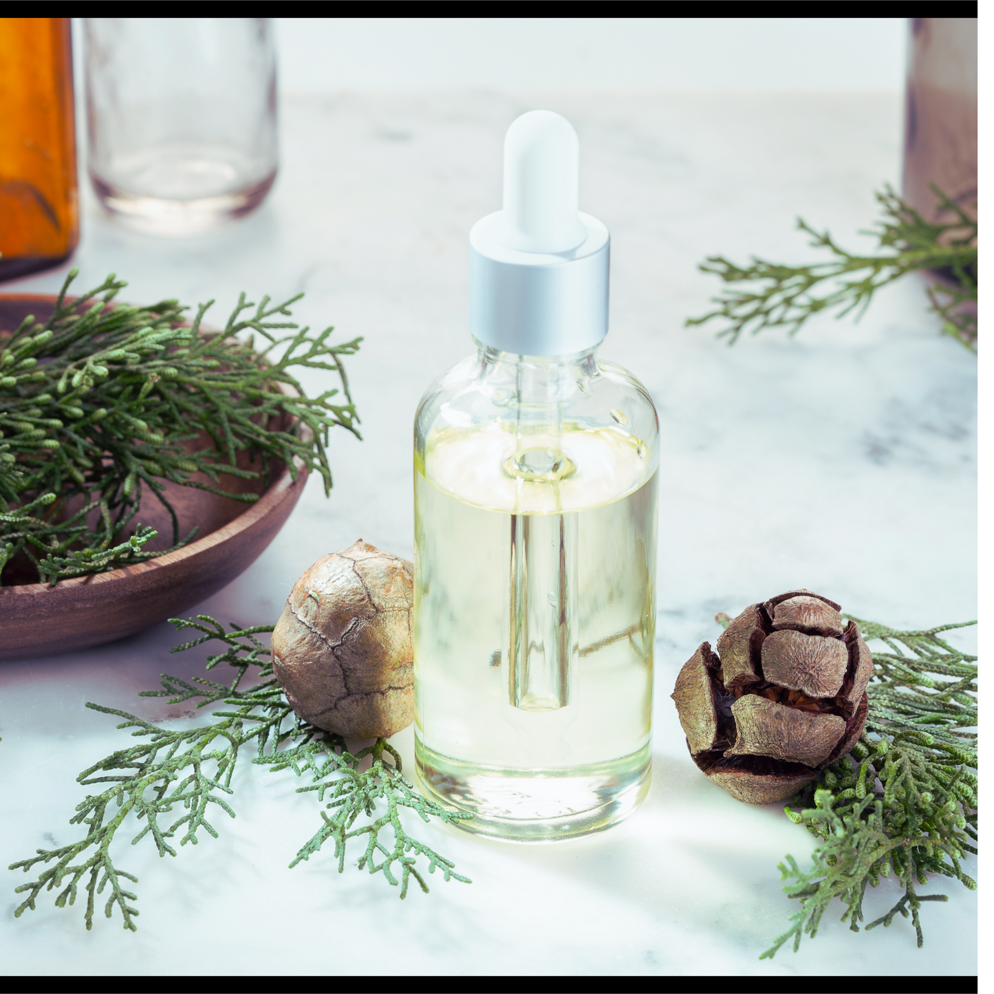 Blue cypress essential oil - Callitris columerallis