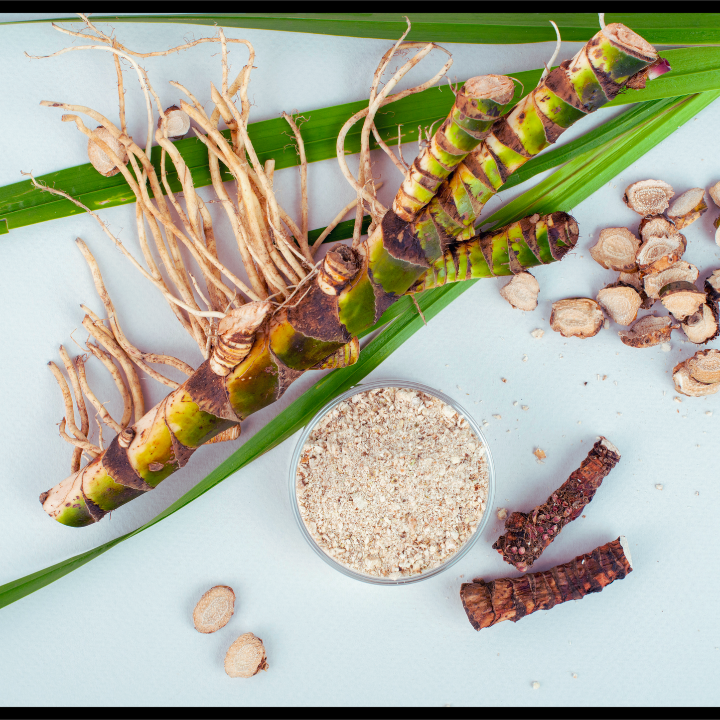 Calamus essential oil-Acorus Calamus