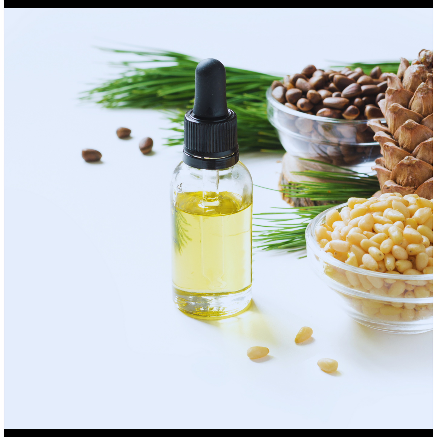 Cedarwood Atlas essential oil-cedrus atlantica