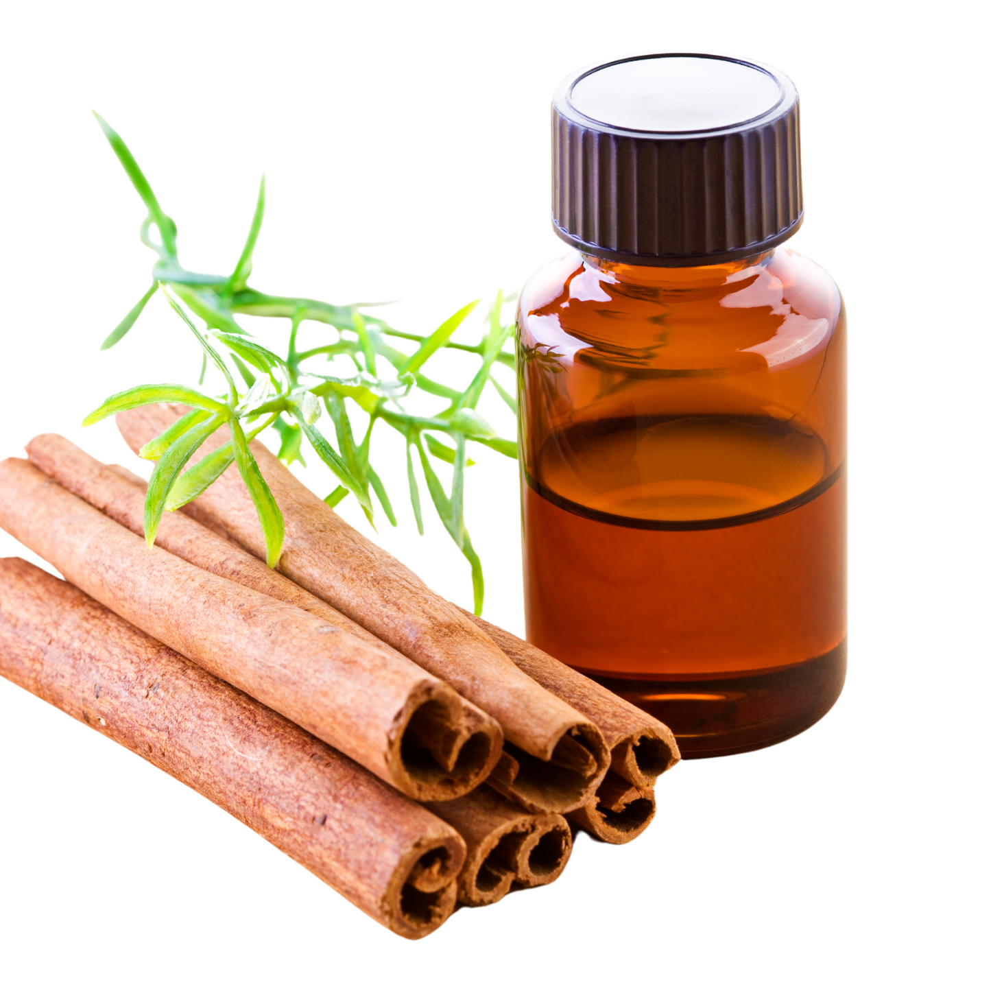 Cinnamon bark essential oil-Cinnamomum vera