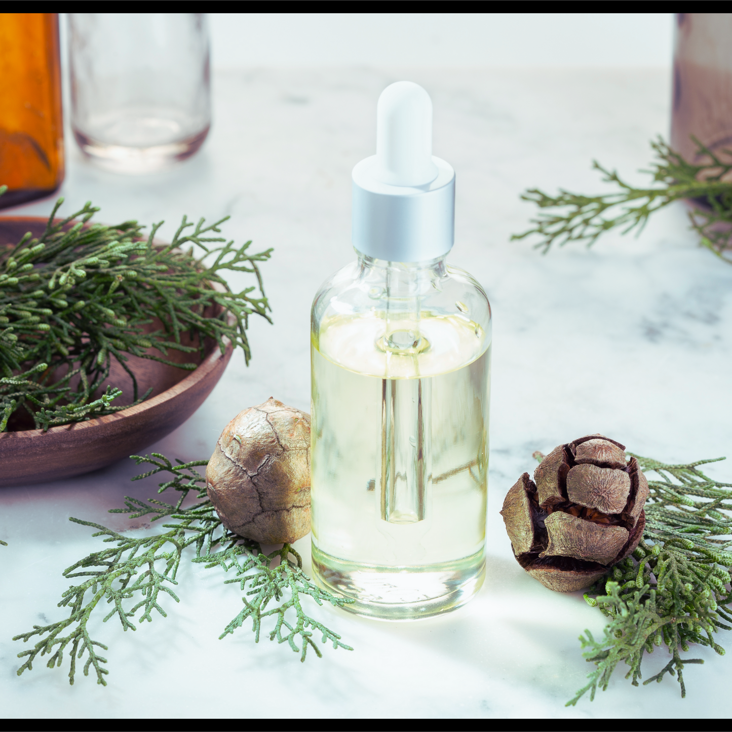 Cypress essential oil-cypressus sempervirens