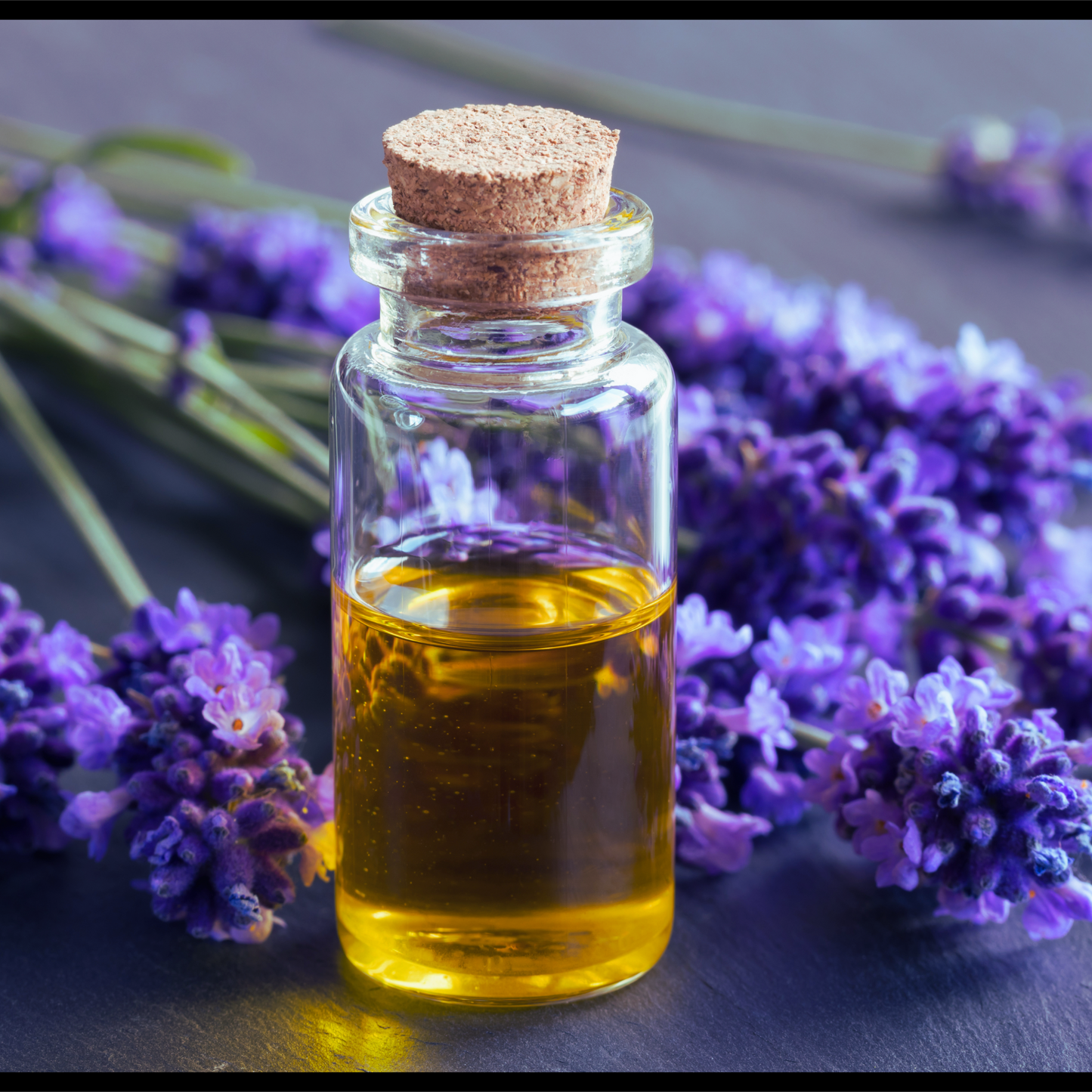 Lavandin essential oil-Lavandula x intermedia