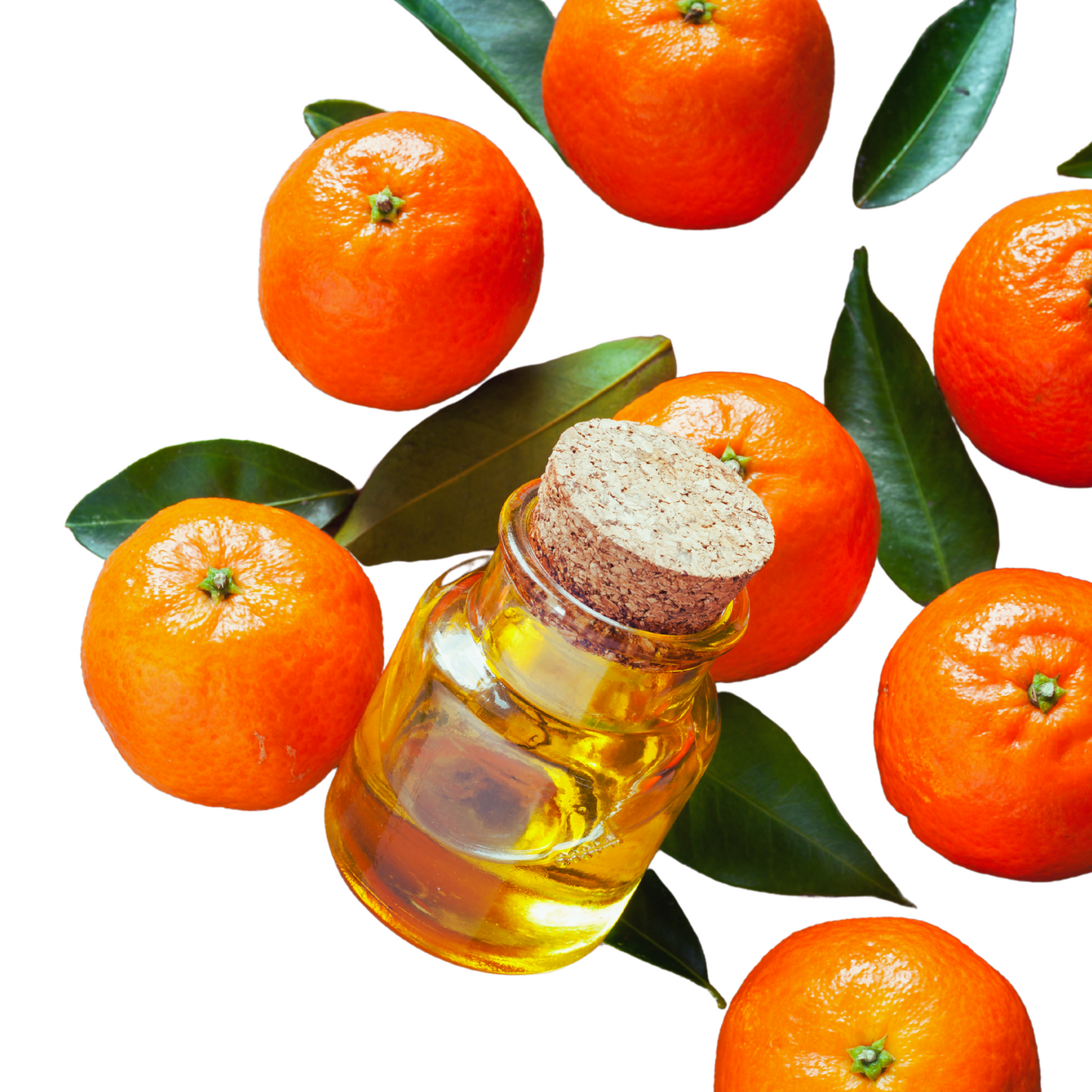 Mandarine essential oil-Citrus reticulata