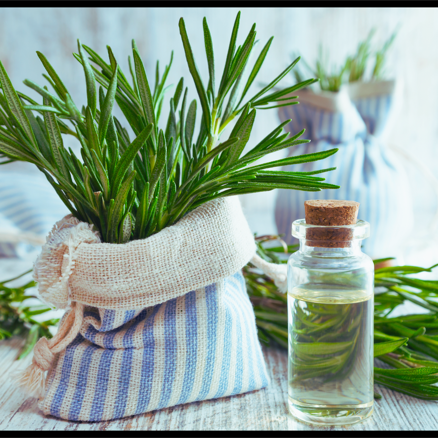 Rosemary essential oil-Rosmarinus officinalis
