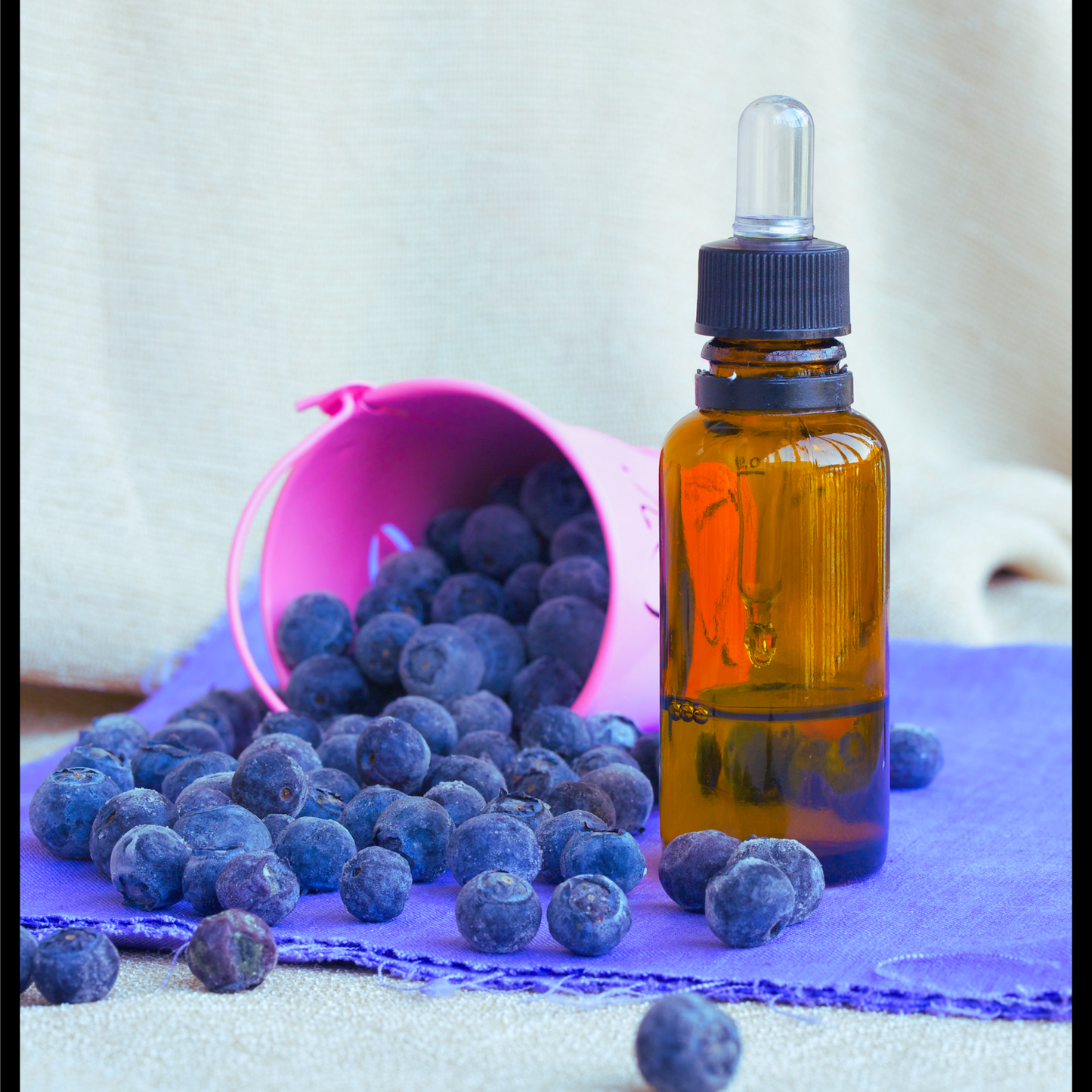 Blueberry seed oil-Vaccinium corymbosum