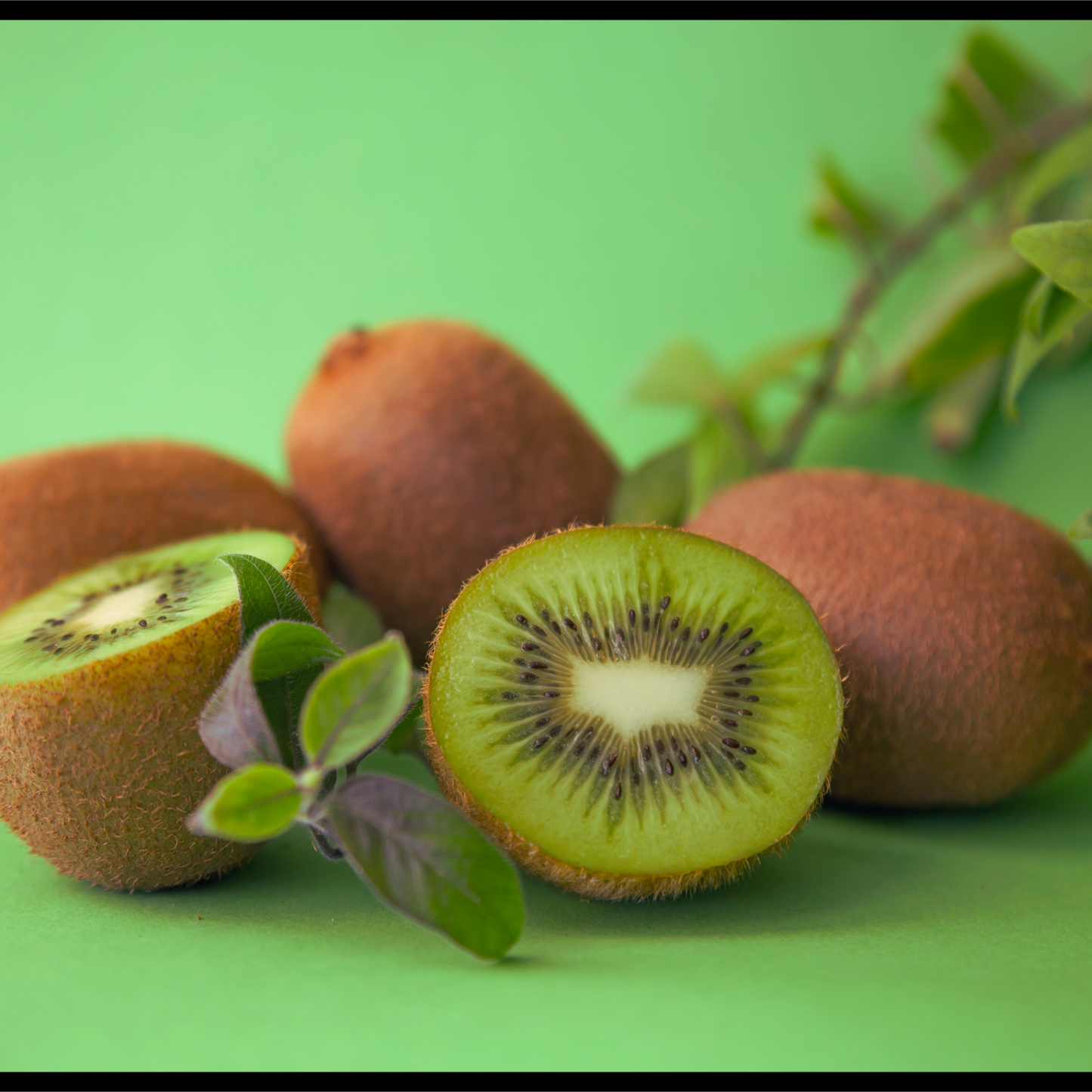 Kiwi seed oil-Actinidia chinensis