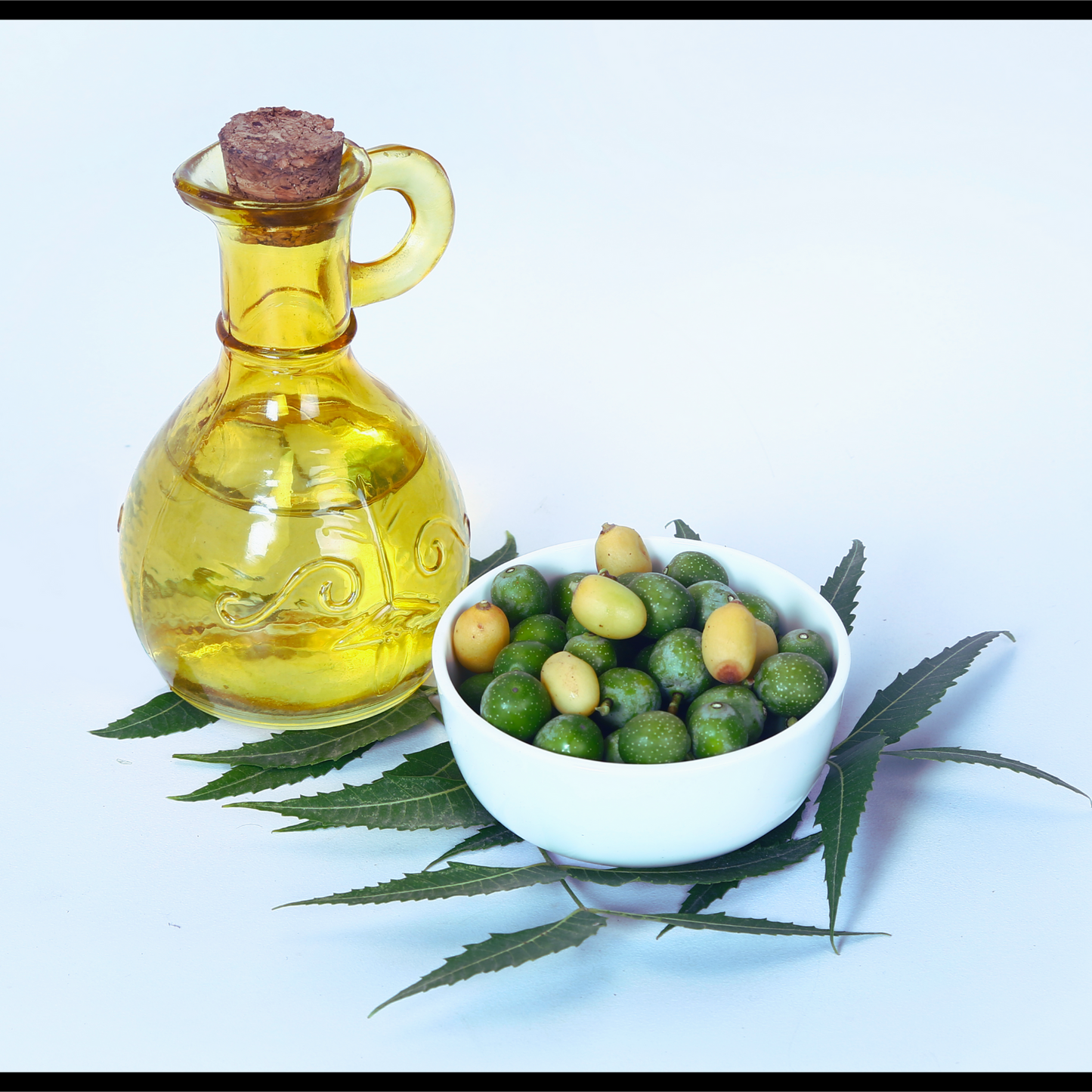 Neem oil-Azadirachta indica