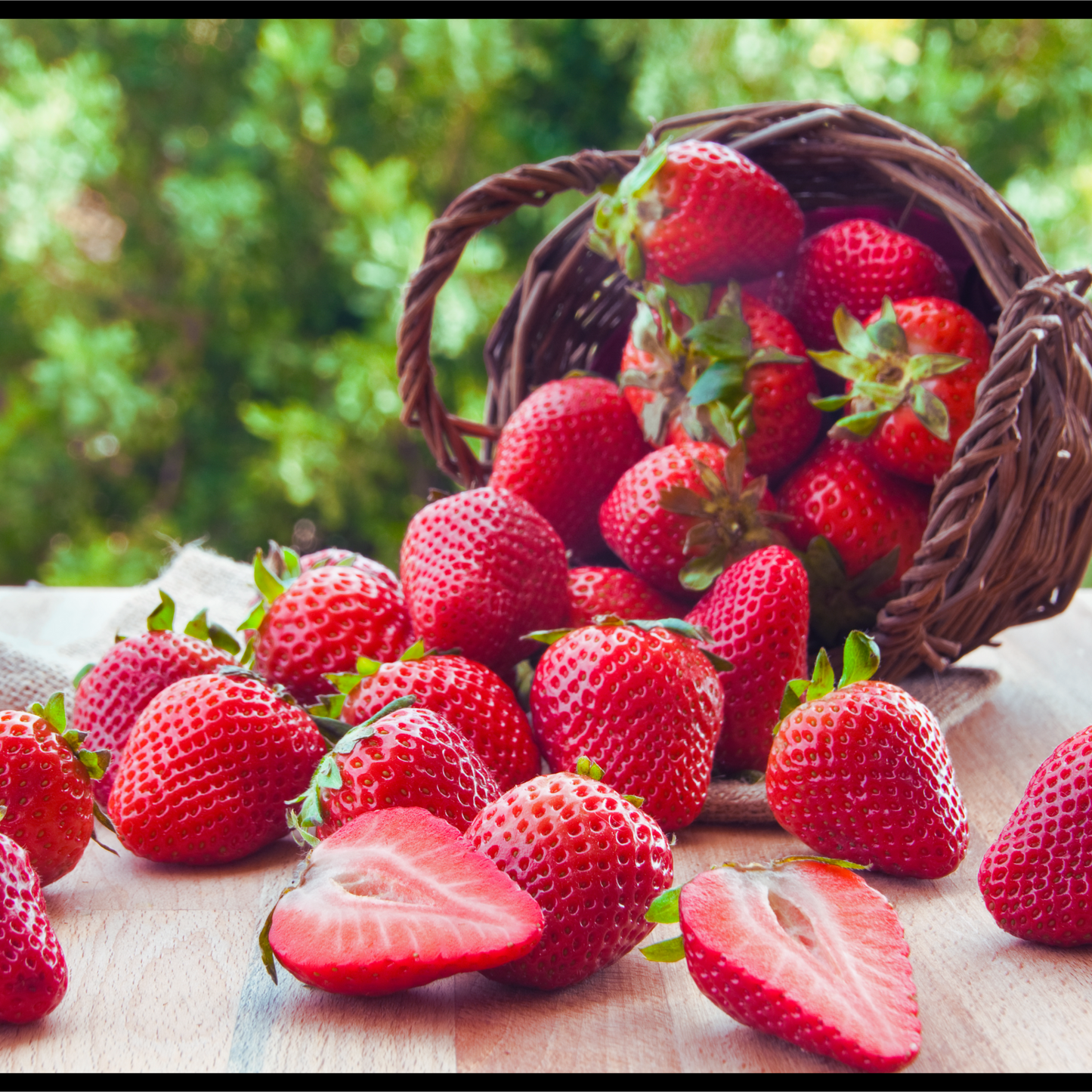 Strawberry oil-Fragaria ananassa