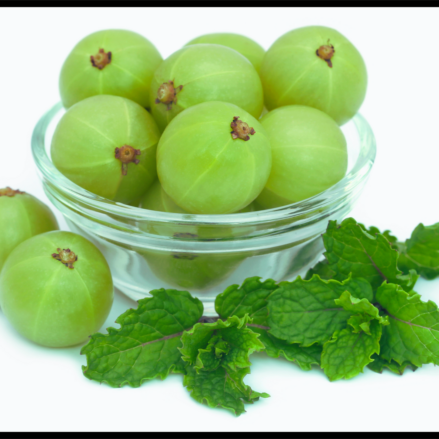 Amla oil-Phyllanthus emblica