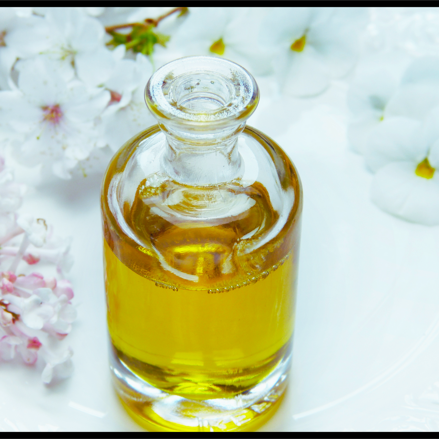 Brahmi(bacopa) oil-Bacopa monnieri