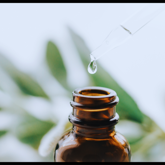 Cajeput essential oil  - Melaleuka cajuputi