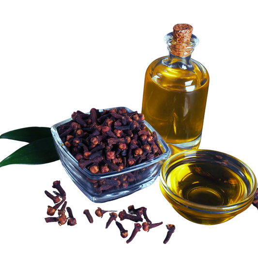 Clove bud essential oil-syzygium aromaticum
