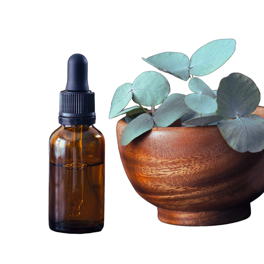 Eucalyptus globulus essential oil- eucalyptus globulus